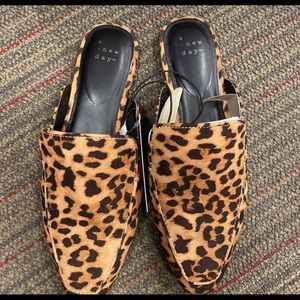 A New Day Animal Print Slides